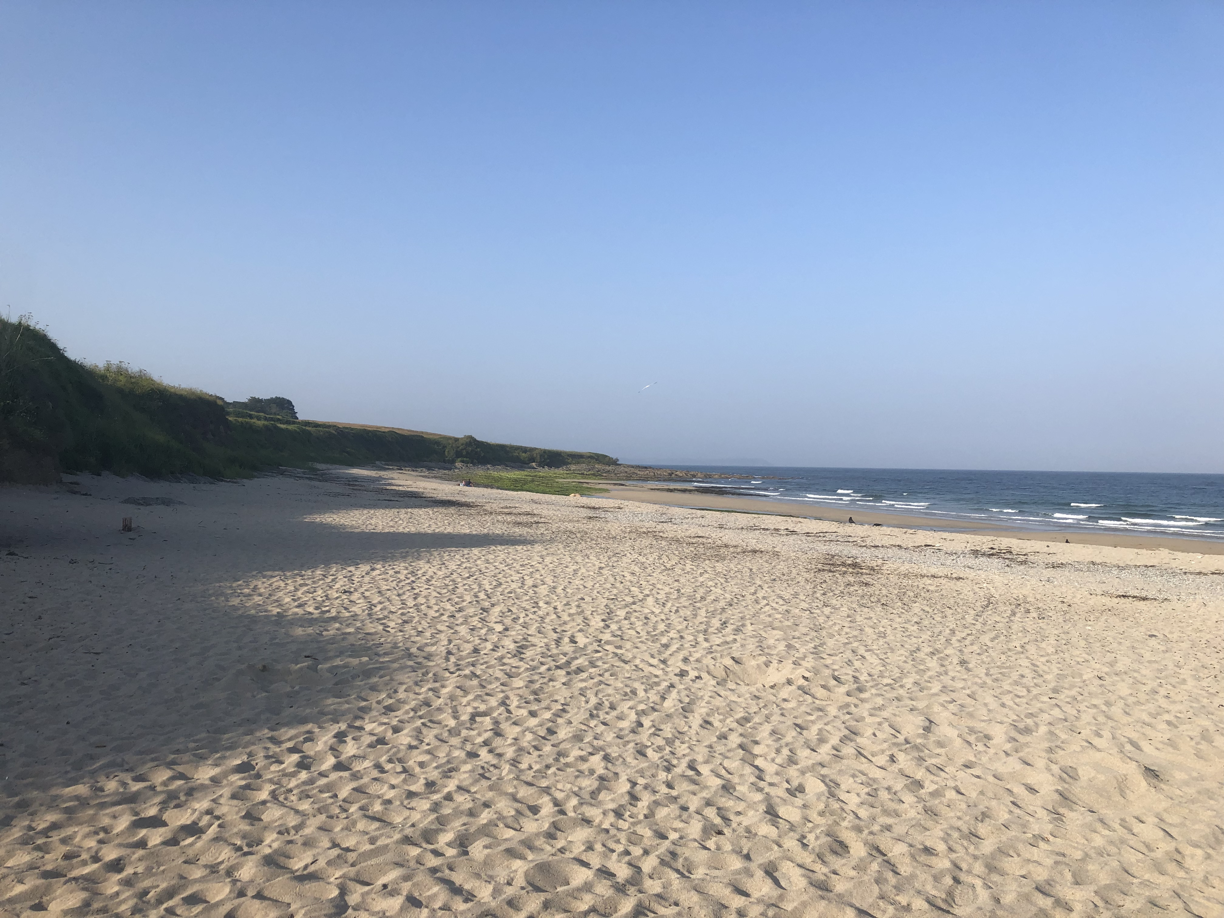 Towan Beach